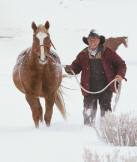 Lloyds in Texas
